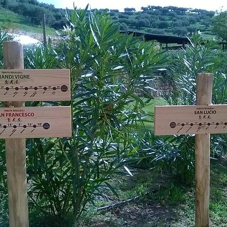 Villa Al Presti, Vacanze In Pieno Relax เชฟาลู ภายนอก รูปภาพ
