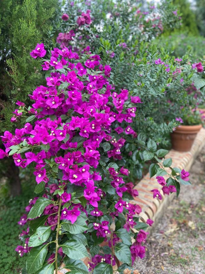 Villa Al Presti, Vacanze In Pieno Relax เชฟาลู ภายนอก รูปภาพ