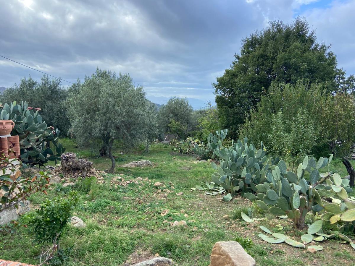 Villa Al Presti, Vacanze In Pieno Relax เชฟาลู ภายนอก รูปภาพ