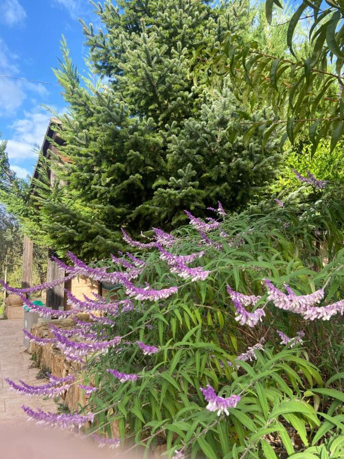 Villa Al Presti, Vacanze In Pieno Relax เชฟาลู ภายนอก รูปภาพ