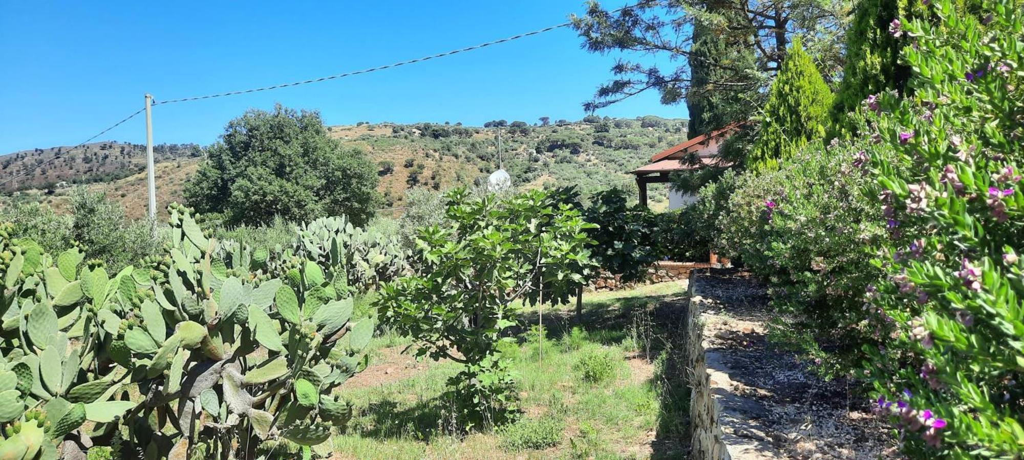 Villa Al Presti, Vacanze In Pieno Relax เชฟาลู ภายนอก รูปภาพ