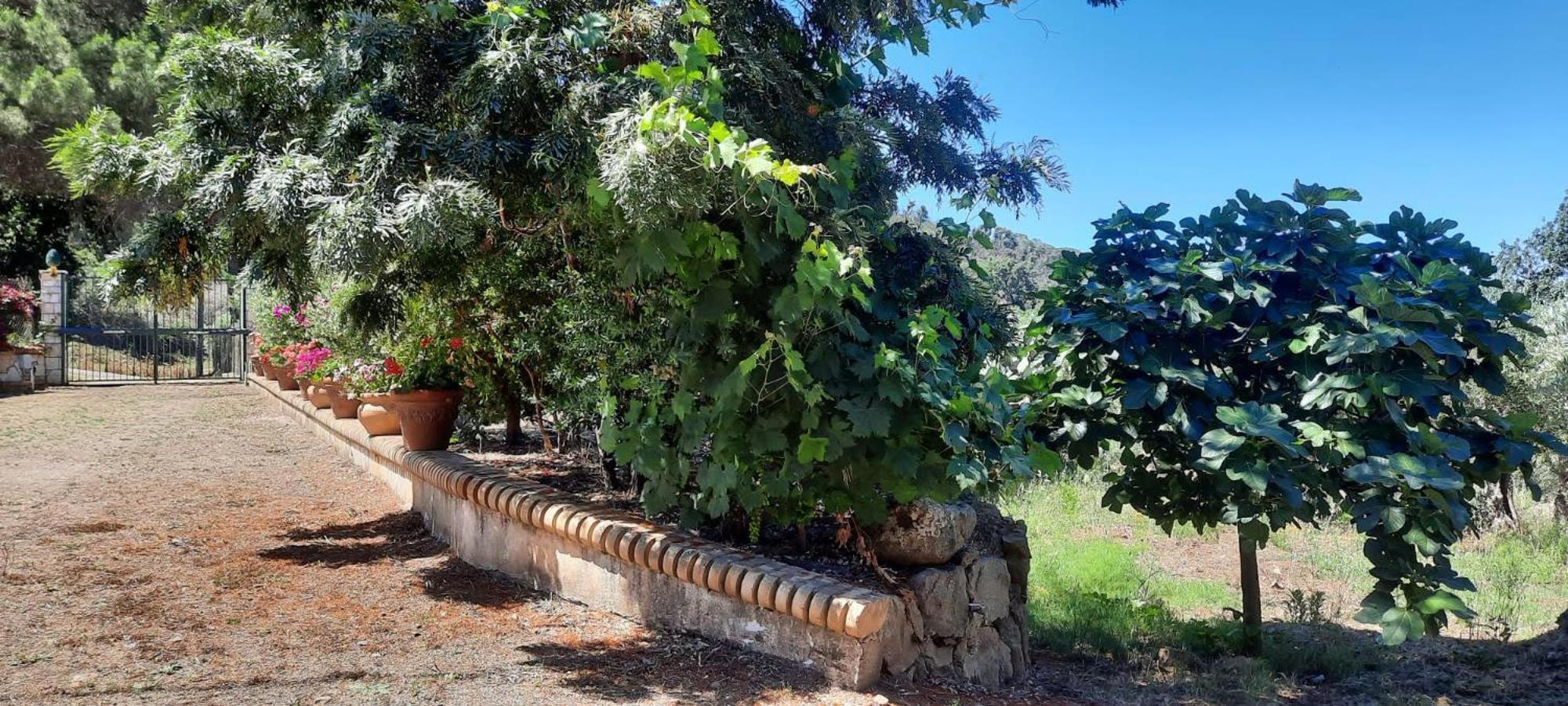 Villa Al Presti, Vacanze In Pieno Relax เชฟาลู ภายนอก รูปภาพ